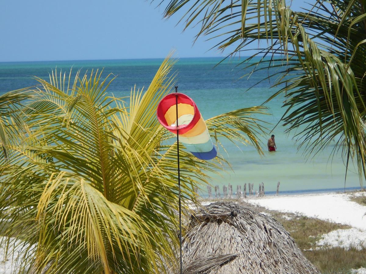 Beach Guesthouse Holbox Apartments & Suites Exterior photo